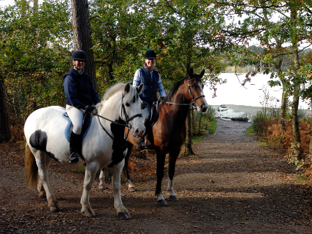 Delamere Forest - Bring Own Horse